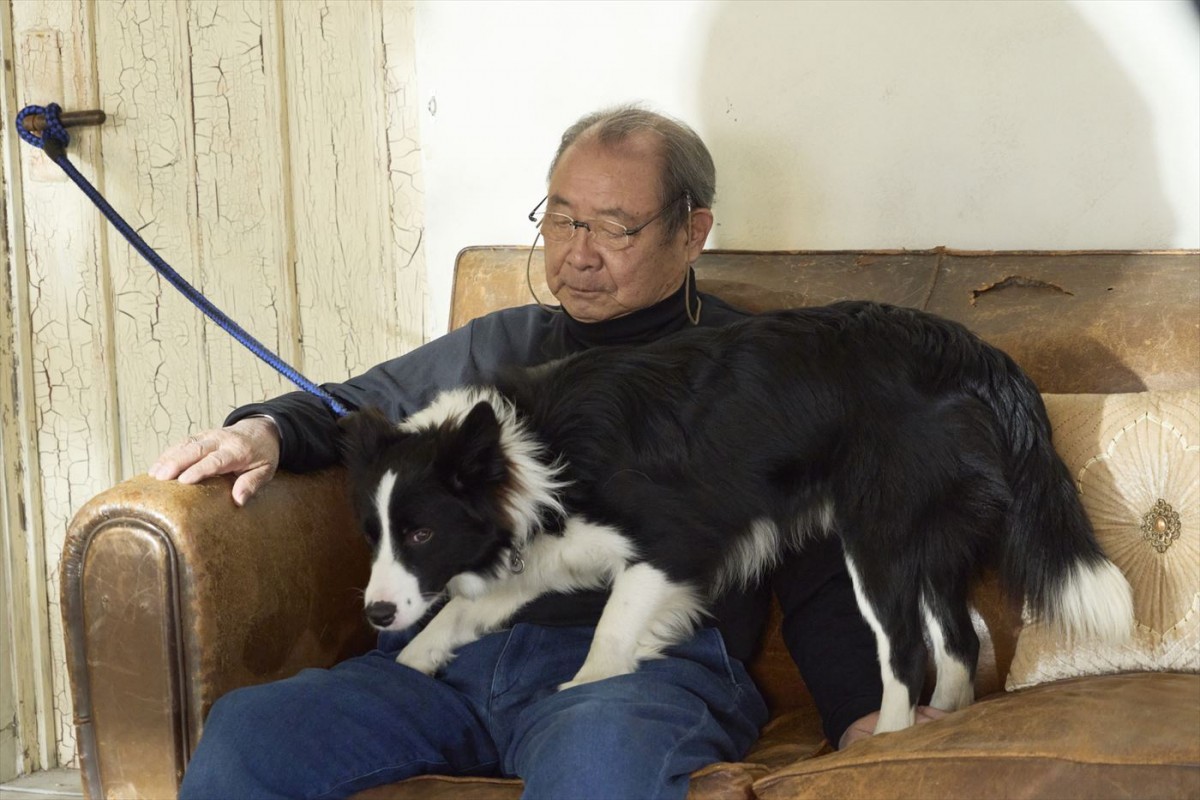 平泉成＆佐野晶哉、共演“犬”にメロメロ！　映画『明日を綴る写真館』メイキングカット到着