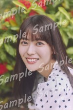 乃木坂46・岩本蓮加1st写真集『いたずらな風』書店別ポストカード【セブンネット】※セブンネット限定版カバーのみ