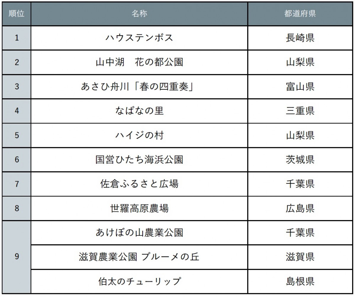 240312_チューリップ絶景ランキング