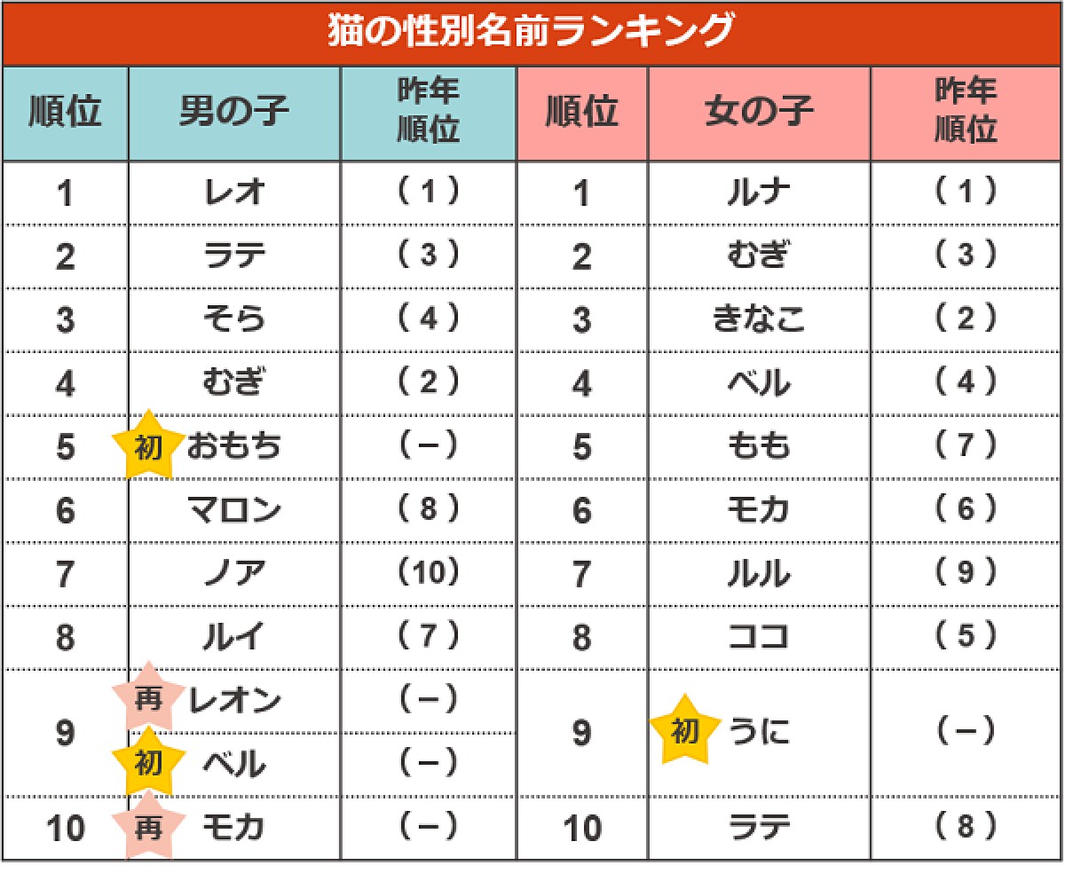 20240719_ペットの“名前ランキング”2024発表