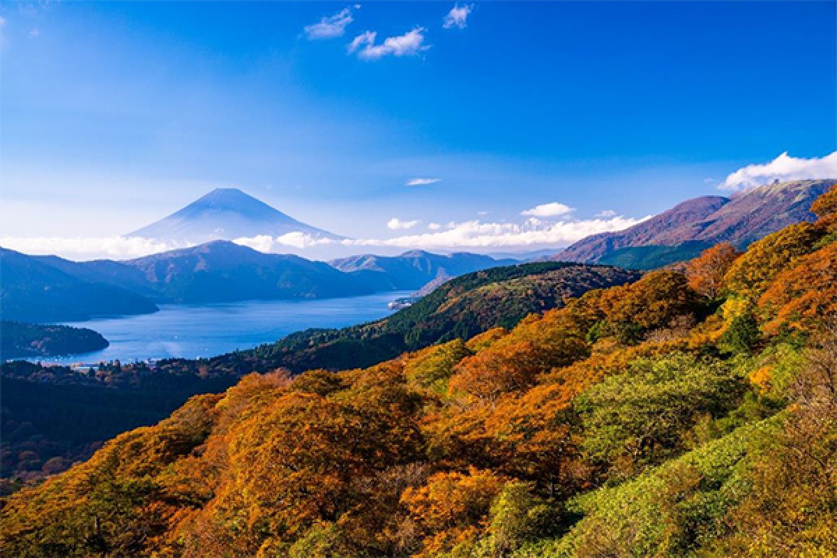 240830_一度は行ってみたい紅葉の名所ランキング