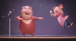 映画『SING／シング』場面写真