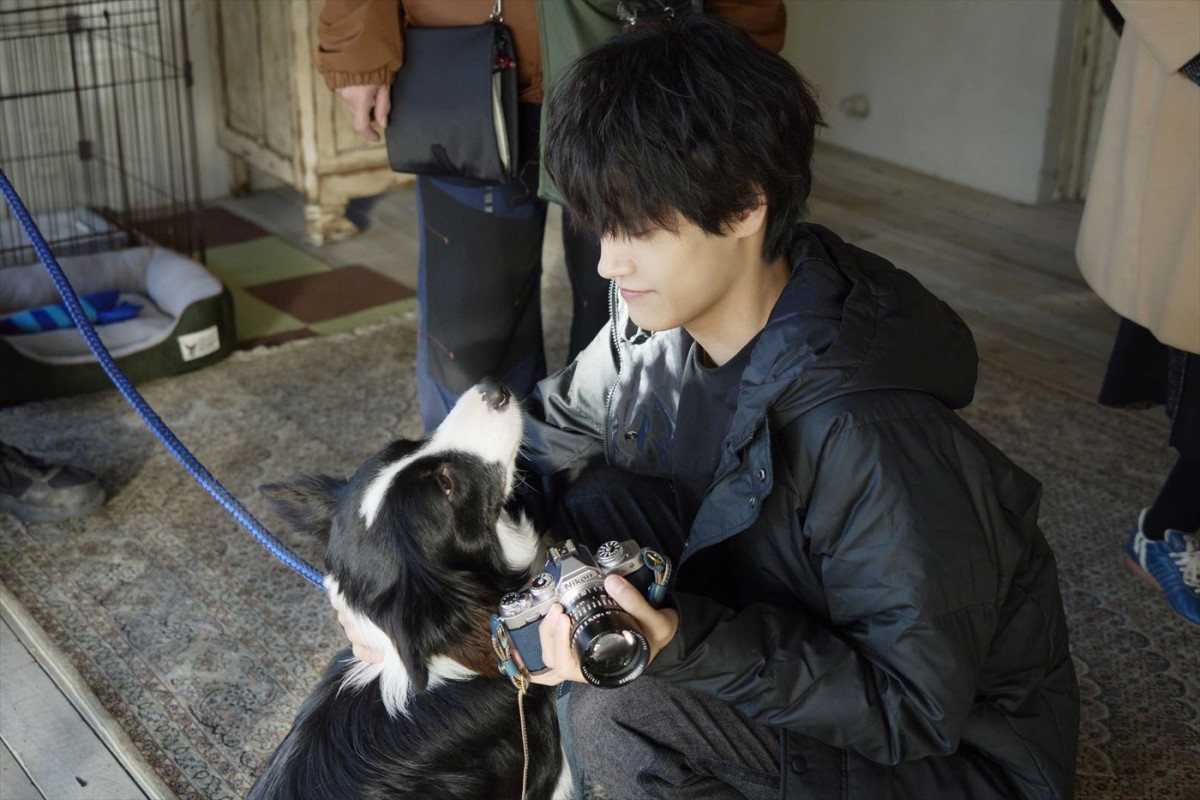 平泉成＆佐野晶哉、共演“犬”にメロメロ！　映画『明日を綴る写真館』メイキングカット到着