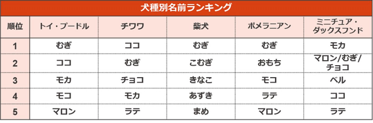 20240719_ペットの“名前ランキング”2024発表