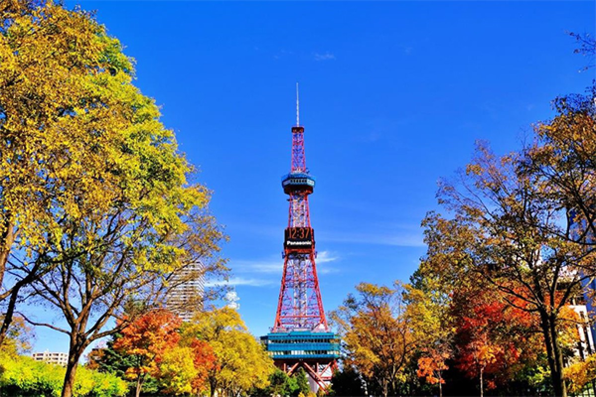 240830_一度は行ってみたい紅葉の名所ランキング