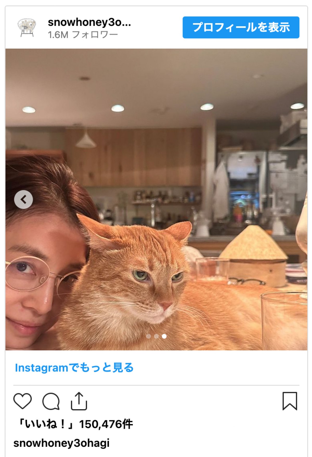 石田ゆり子、愛猫との癒しショットが話題に「かわいいなぁ」「眼福です」