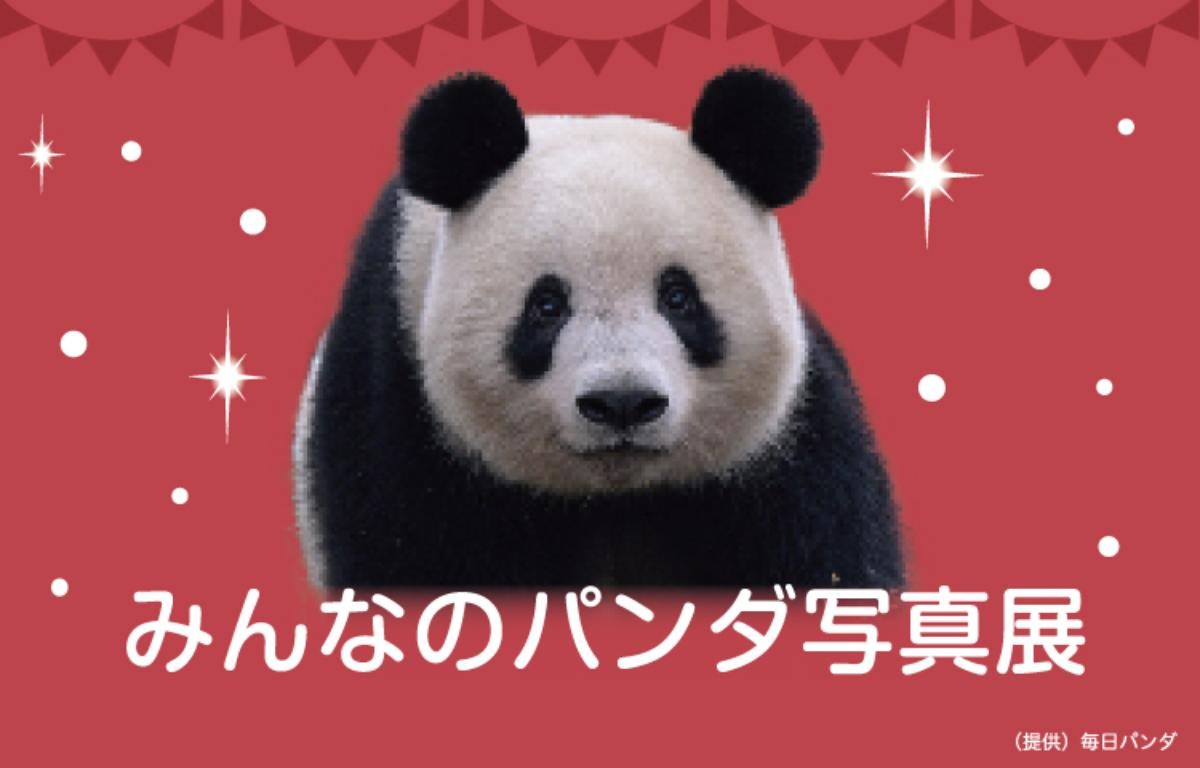 202041121「HAPPY PANDAFUL HOLIDAYS」