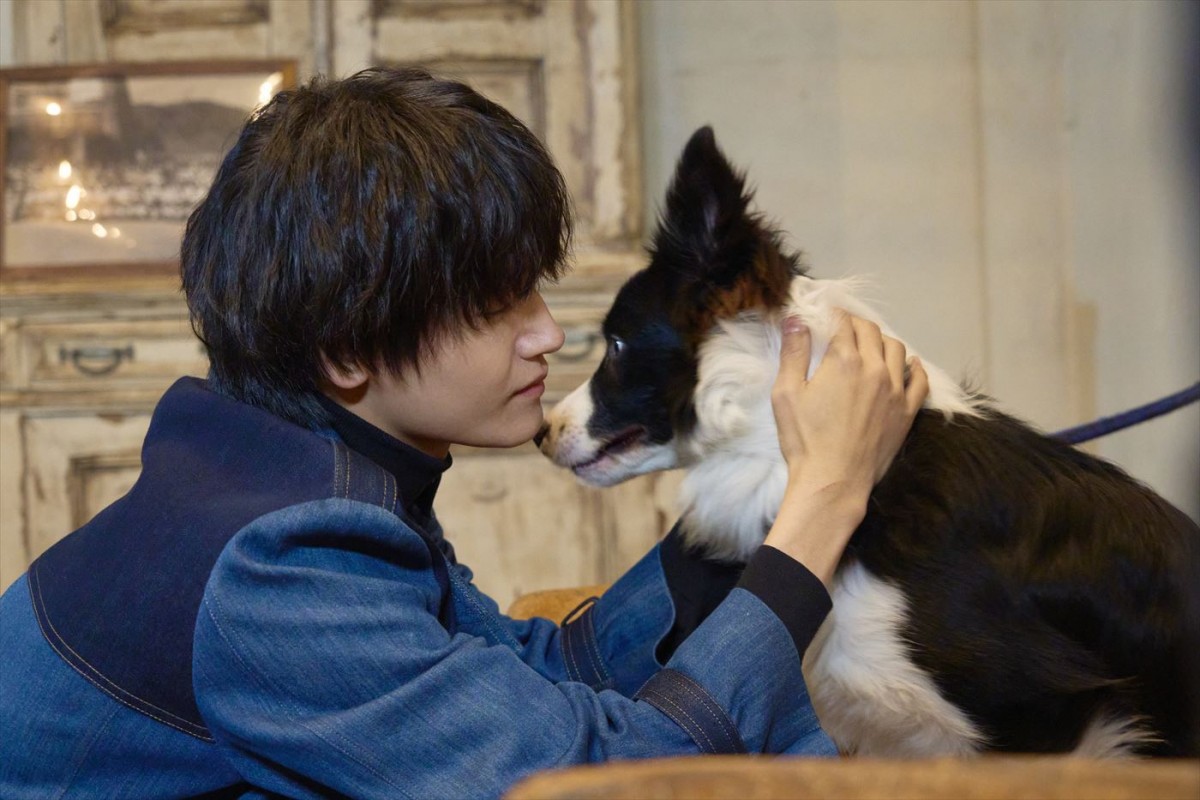 平泉成＆佐野晶哉、共演“犬”にメロメロ！　映画『明日を綴る写真館』メイキングカット到着