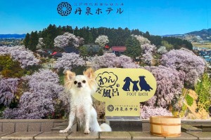 山形“愛犬と泊まれる温泉旅館”がグランドオープン！　ペット専用足湯コーナーが新しくなって登場