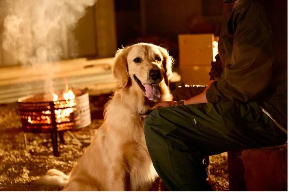 20241030埼玉・秩父に“犬連れ専用アウトドア複合施設”誕生へ