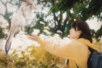 映画『カミノフデ ～怪獣たちのいる島～』場面写真