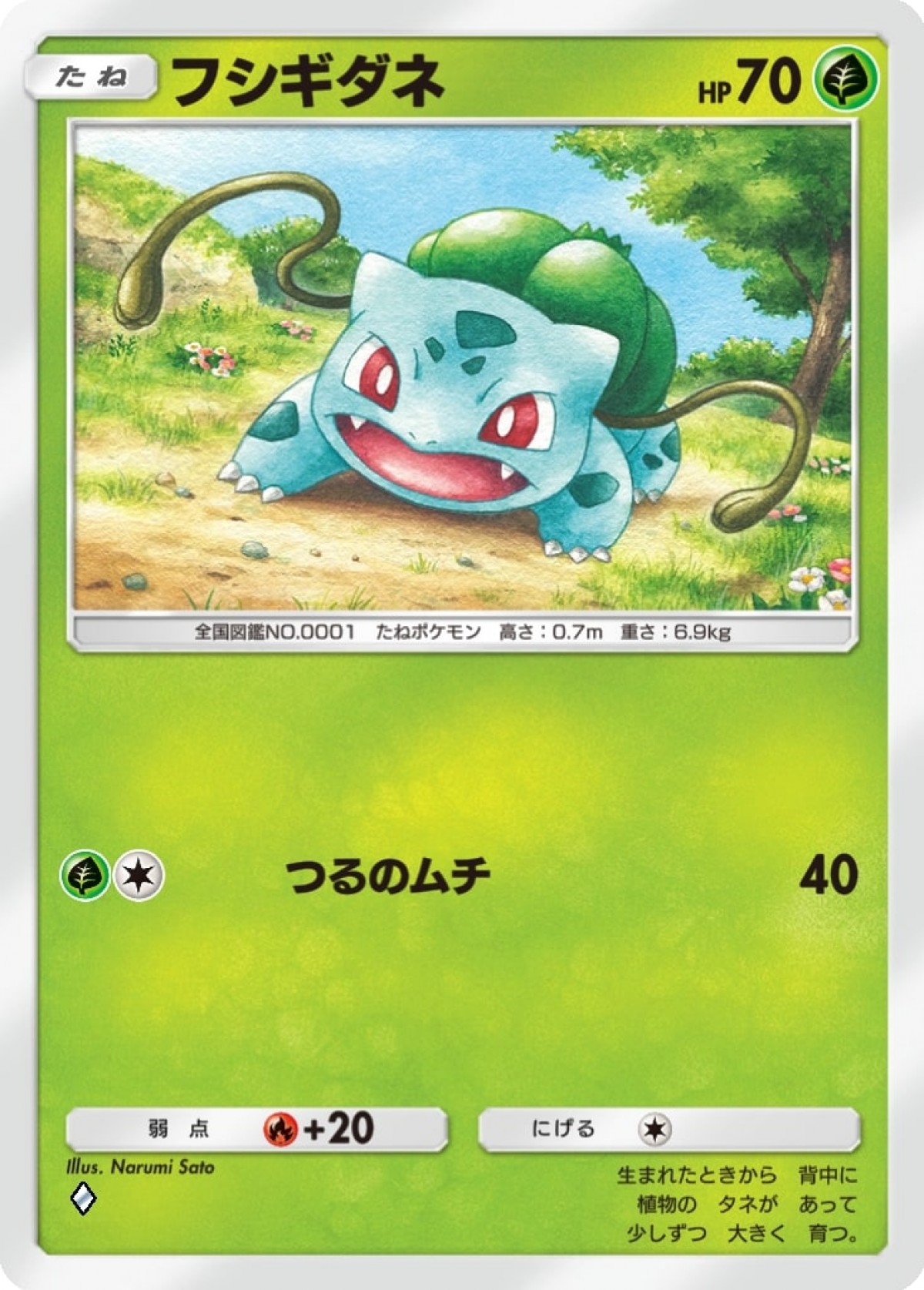 『Pokemon Trading Card Game Pocket』20240228