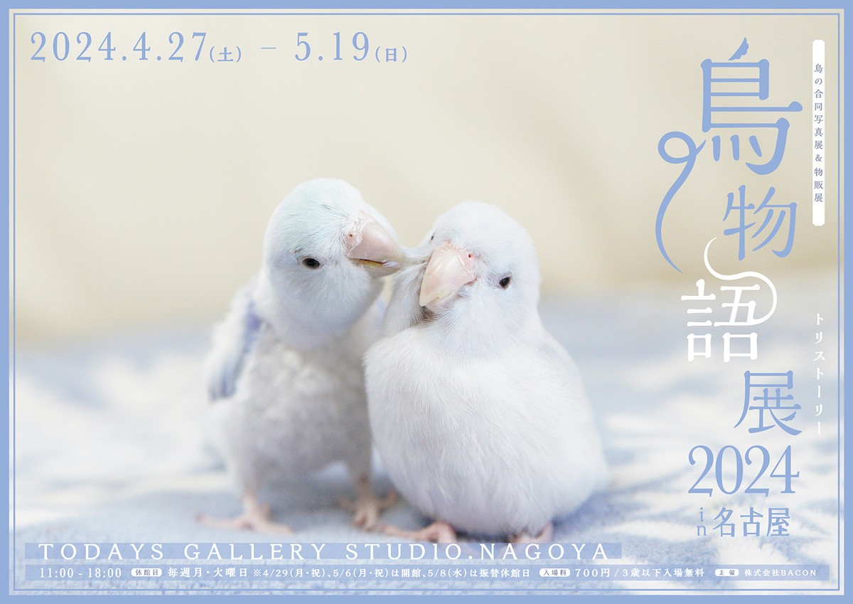 240408_鳥物語トリストーリー展