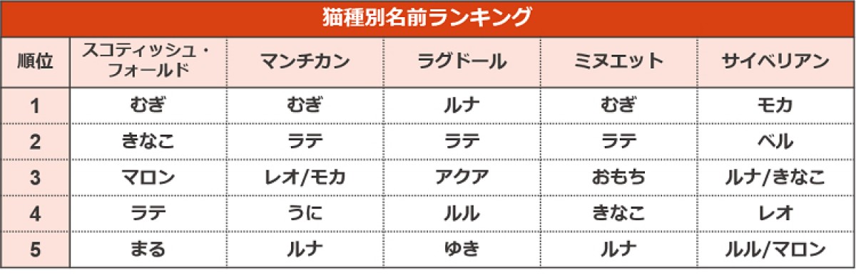 20240719_ペットの“名前ランキング”2024発表