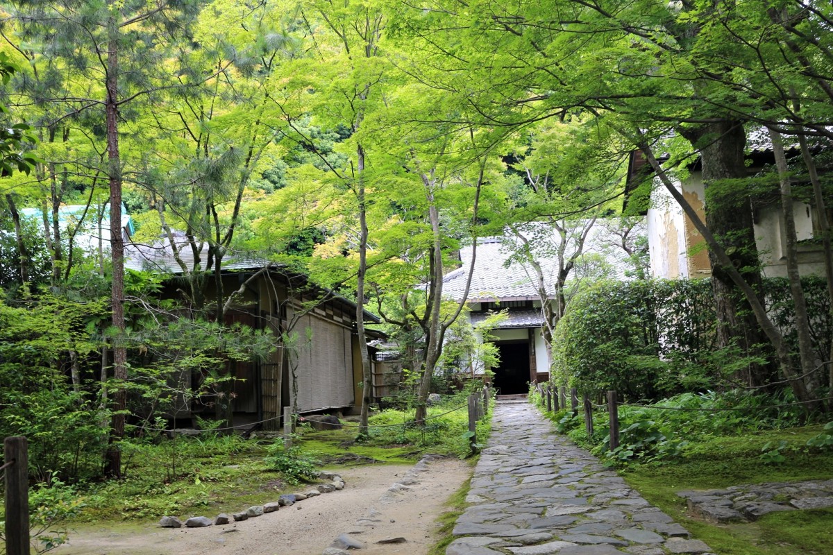 「蓮華寺」【二次使用NG】