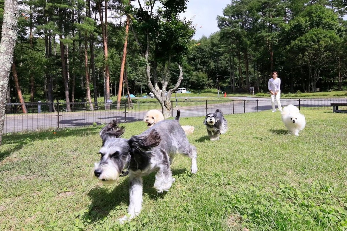 20240924「ゆとりろ蓼科ホテルwithDOGS」