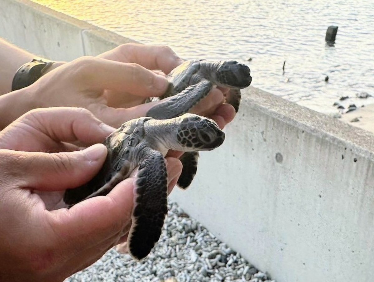 20240912 すみだ水族館