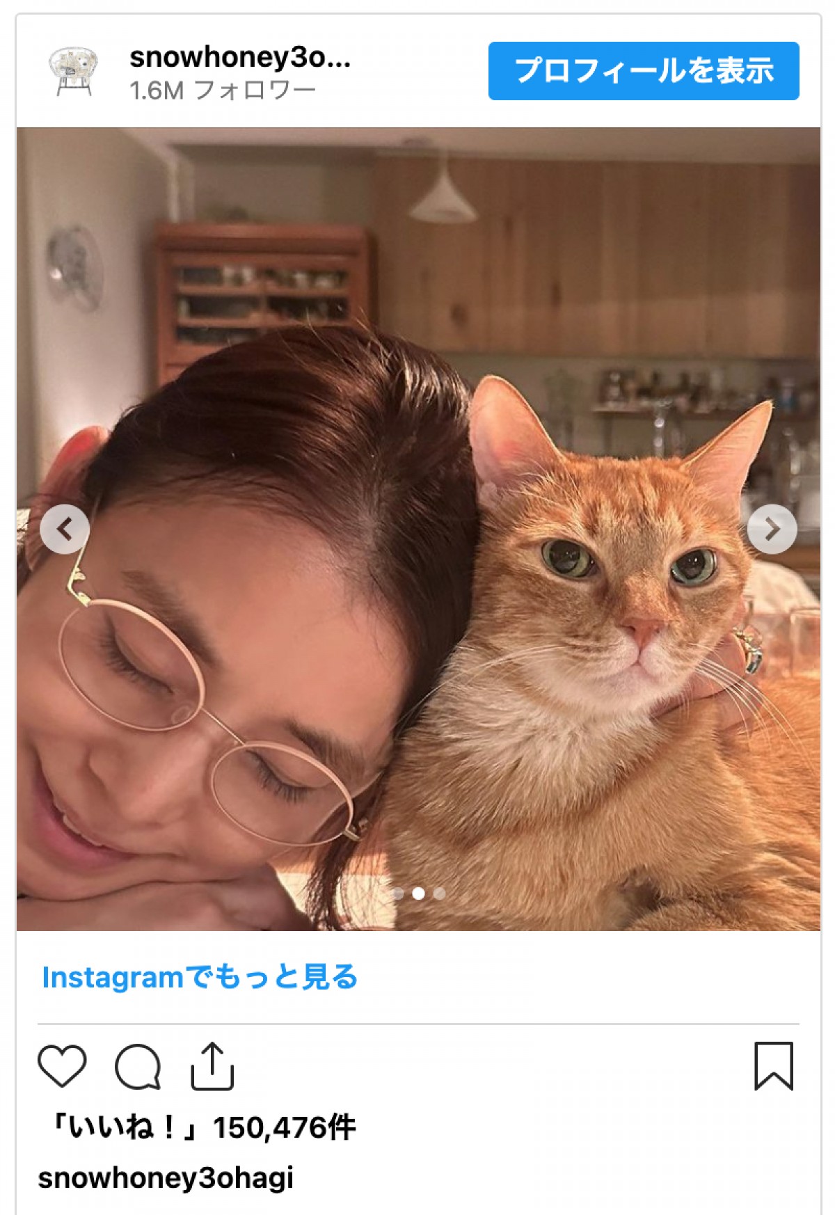 石田ゆり子、愛猫との癒しショットが話題に「かわいいなぁ」「眼福です」