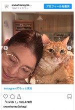 石田ゆり子、愛猫・ハニオくんとの2ショットを披露　※「石田ゆり子」動物写真専用インスタグラム