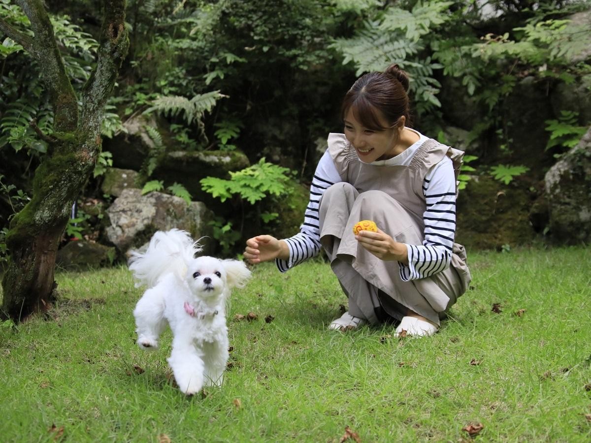 20241030熱海に“愛犬と泊まれる温泉リゾート”誕生へ