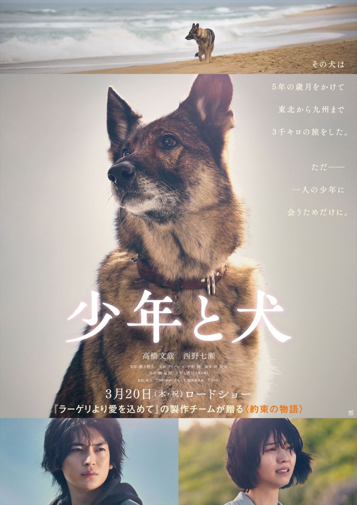 映画『少年と犬』最新ビジュアル