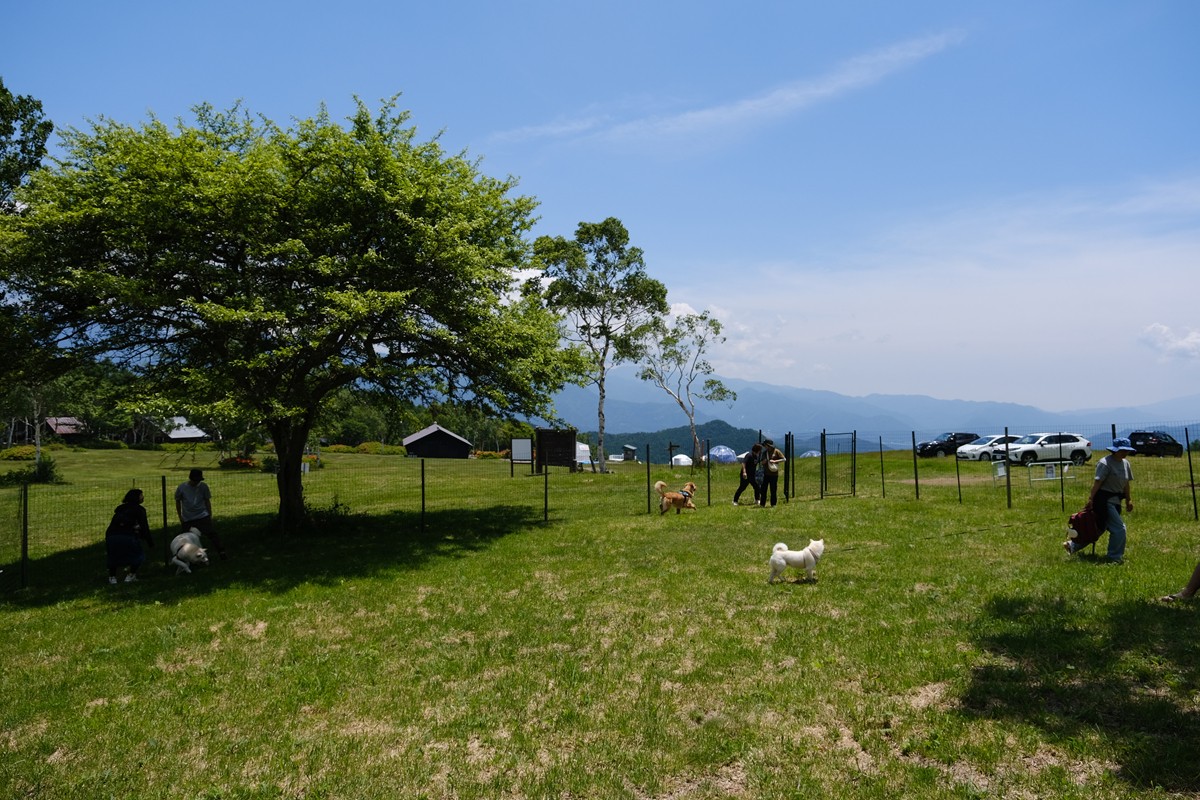 20240625「OZE－HOSHISORA GLAMPING＆CAMP RESORT」