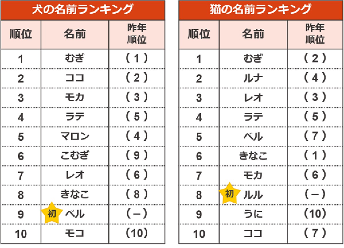 20240719_ペットの“名前ランキング”2024発表