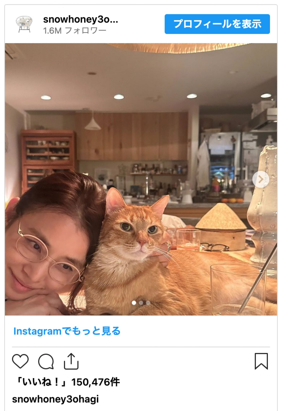 石田ゆり子、愛猫との癒しショットが話題に「かわいいなぁ」「眼福です」