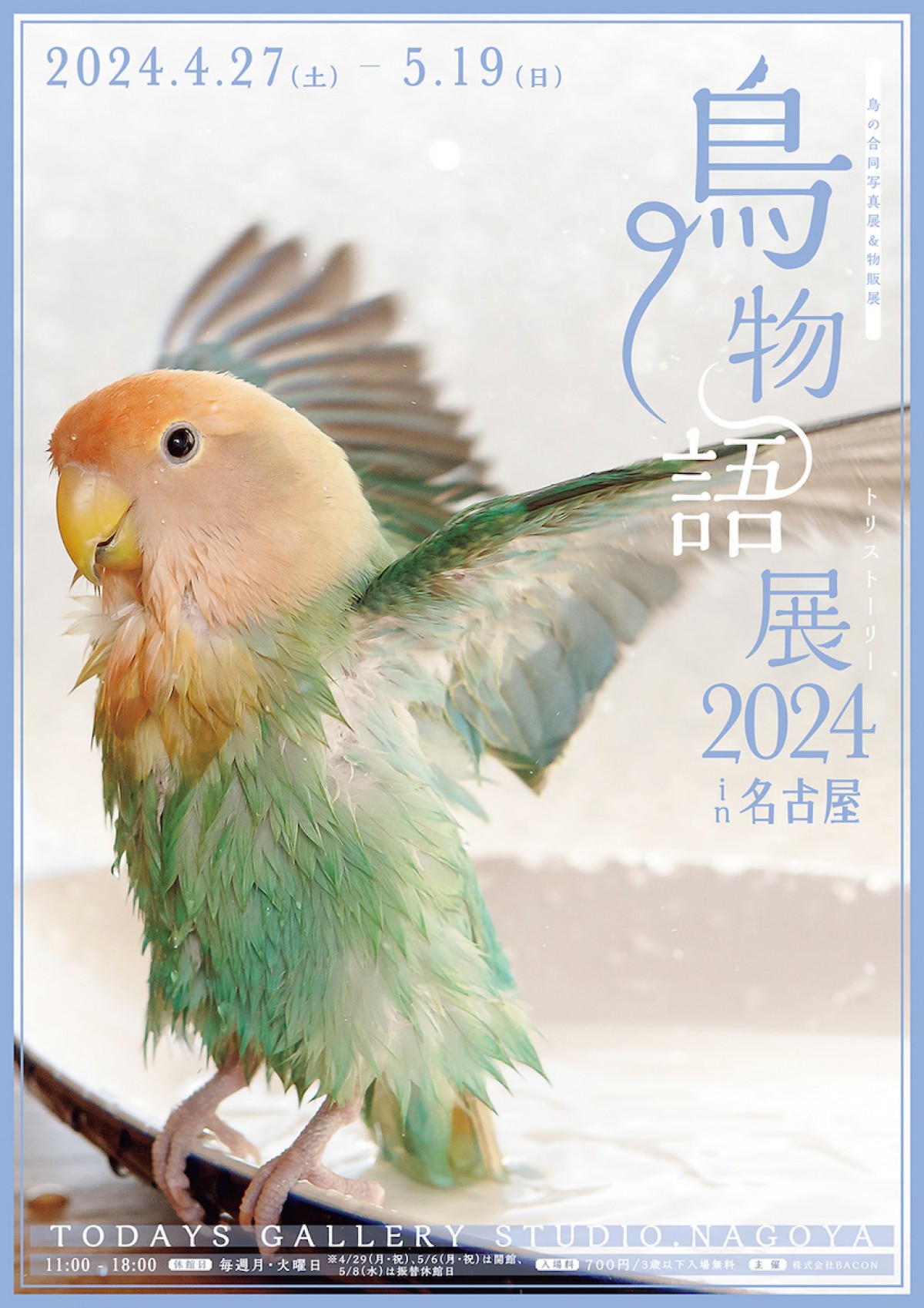 240408_鳥物語トリストーリー展