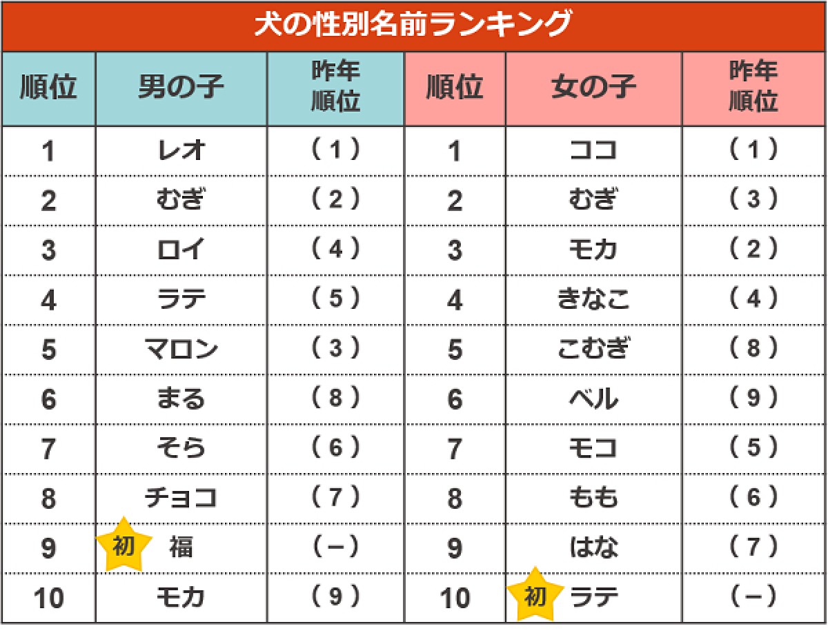 20240719_ペットの“名前ランキング”2024発表