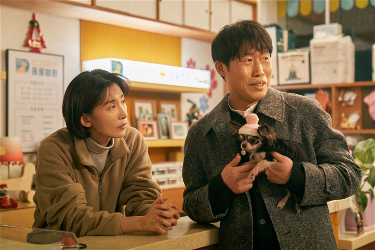 ユン・ヨジョン＆ユ・ヘジンW主演！　韓国映画『DOG DAYS 君といつまでも』11.1「犬の日」に日本公開！　本予告解禁