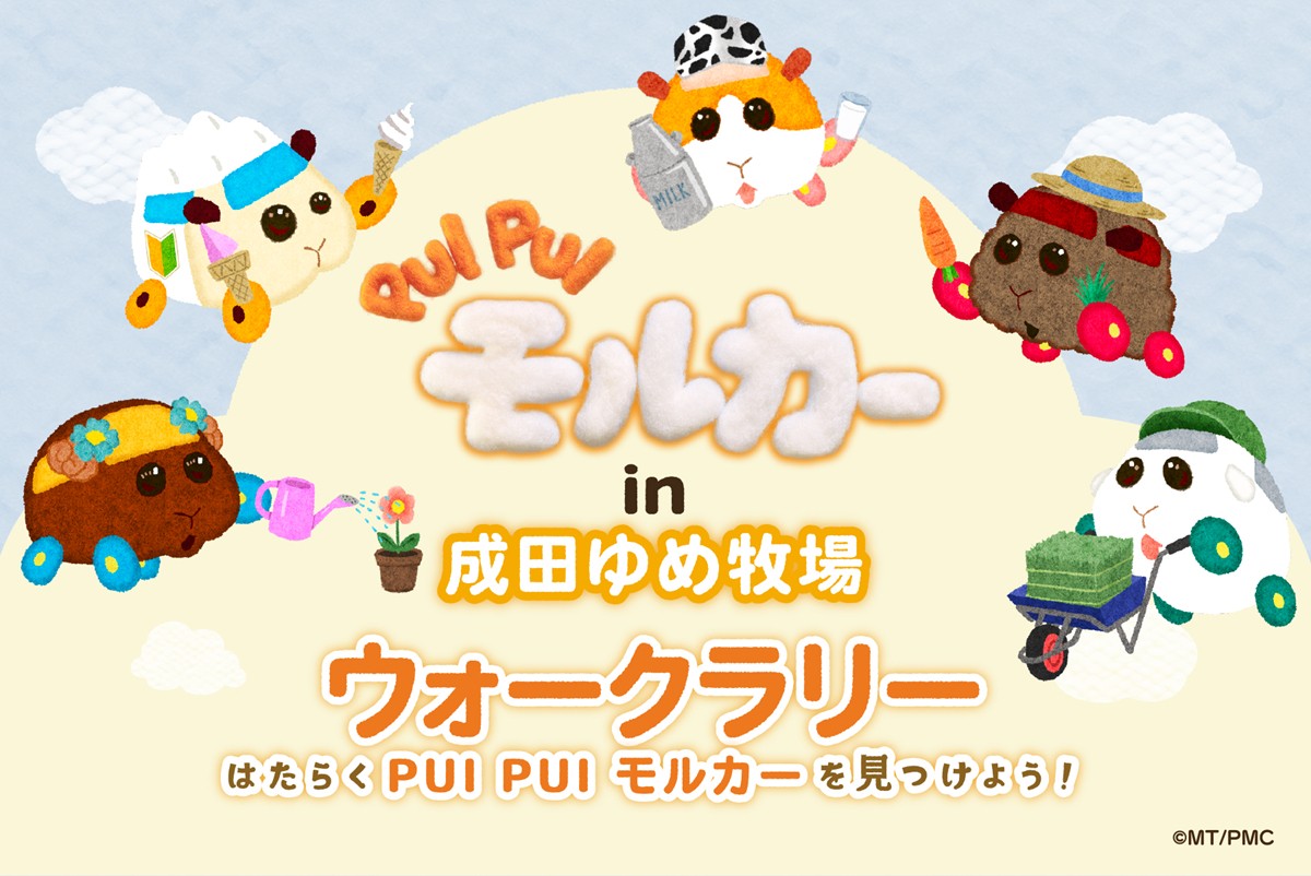 20241005「PUI PUI モルカー in 成田ゆめ牧場～はじめましてゆめぼくもるちゃんズ～」