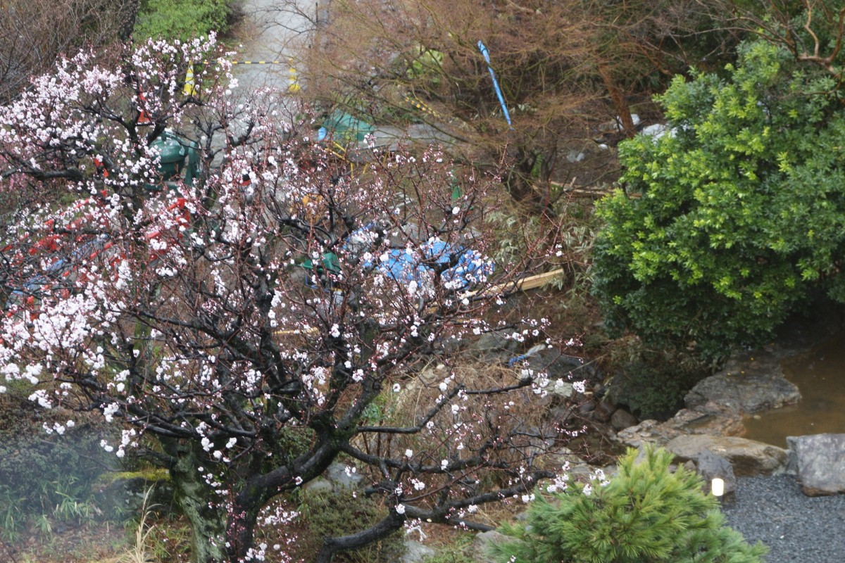 取材日：2024年2月21日　よみうりランド「花景の湯」内覧会