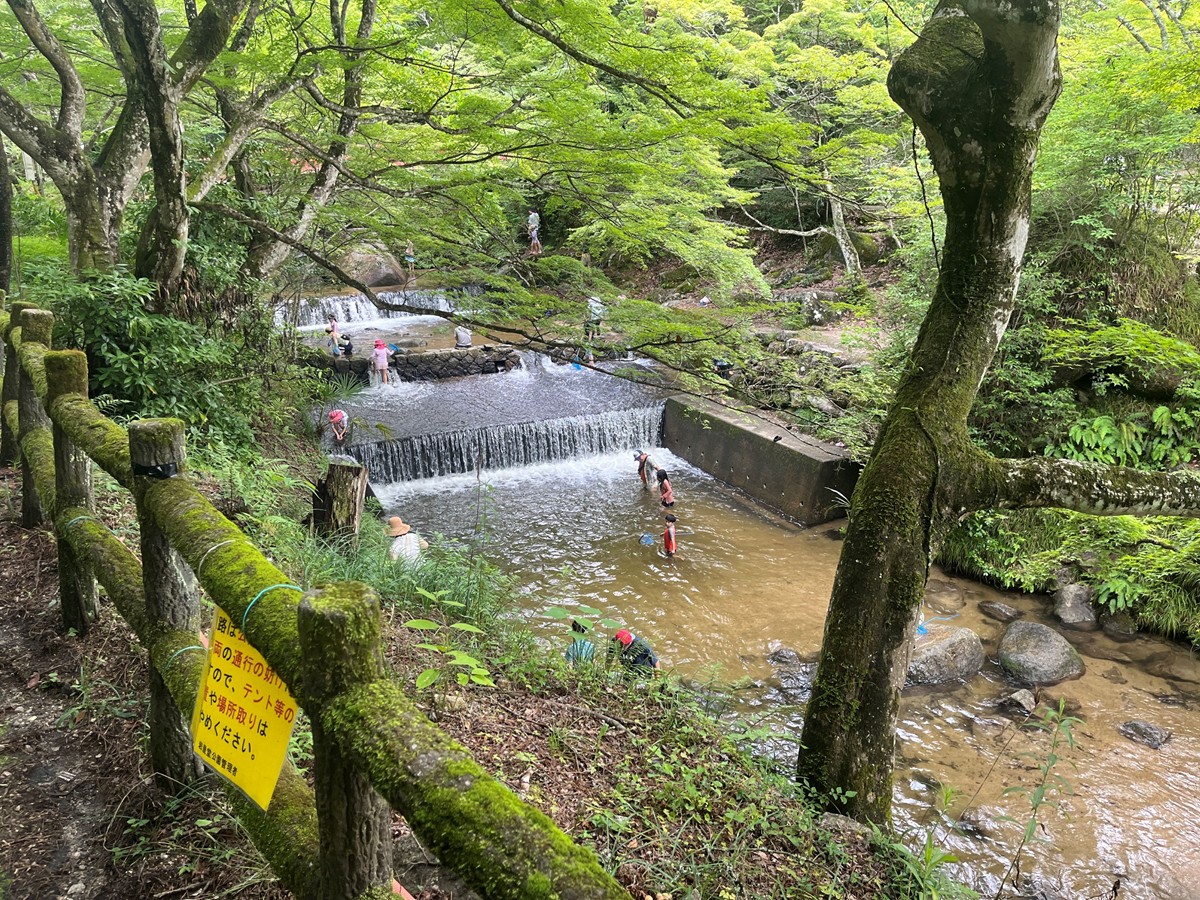 愛知に“渓流沿いで楽しむ日帰りBBQ施設”誕生へ！　秋には紅葉のライトアップも実施