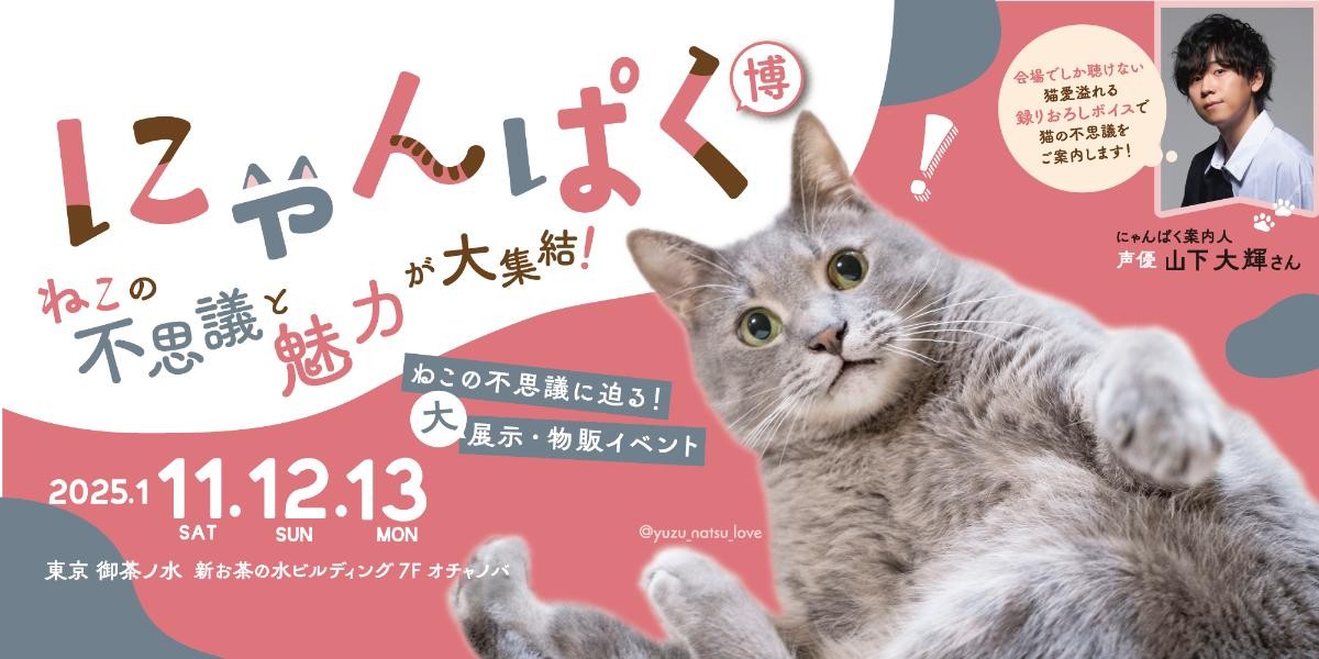 「ねこ検定presents にゃんぱく2025」展示作品