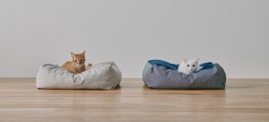 無印良品に“猫の暮らしを考えた商品”登場！　食べやすい高さのボウルやスタンドなど展開