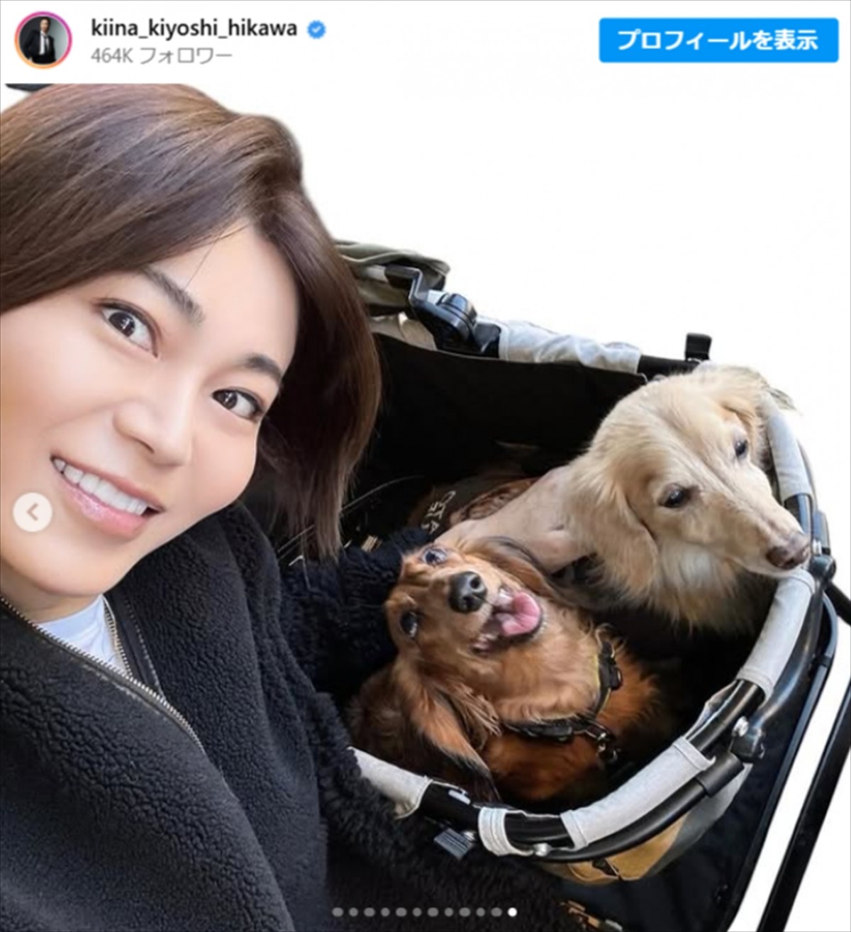 氷川きよし、愛犬とのショット　※「氷川きよし」インスタグラム