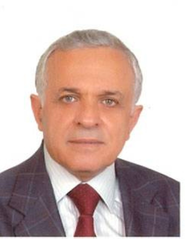 



رضوان السيد