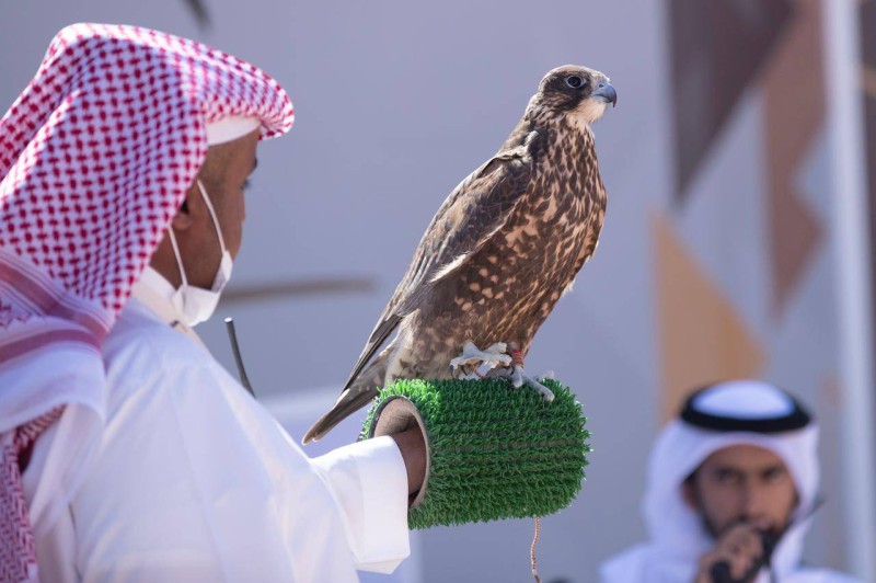 المهرجان يواصل تسجيل الصقور في بعض الفئات حتى يوم 9 ديسمبر لاستيعاب أكبر عدد من الصقارين الراغبين في المشاركة