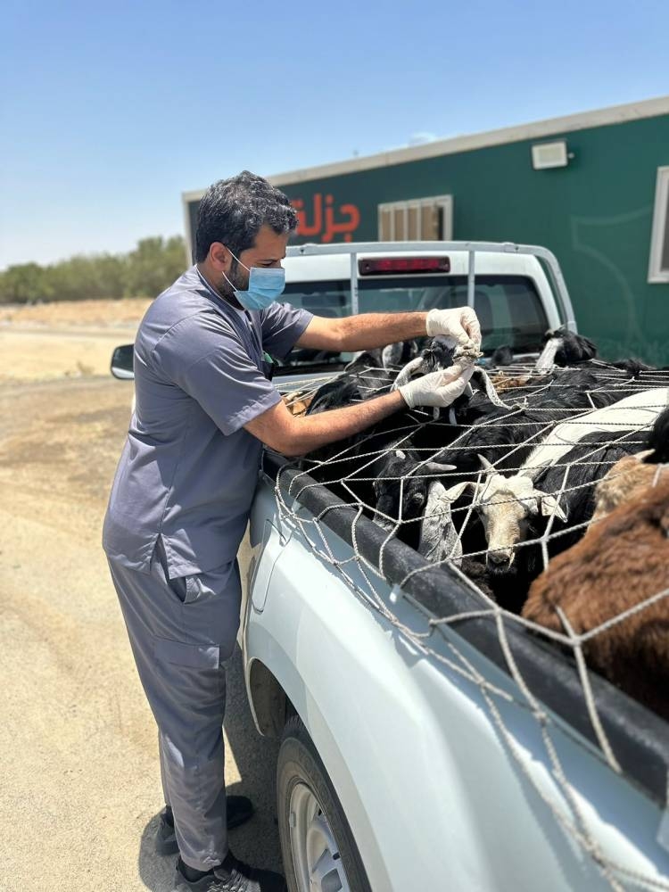 



 الفرق البيطرية خلال عملية الفسح.