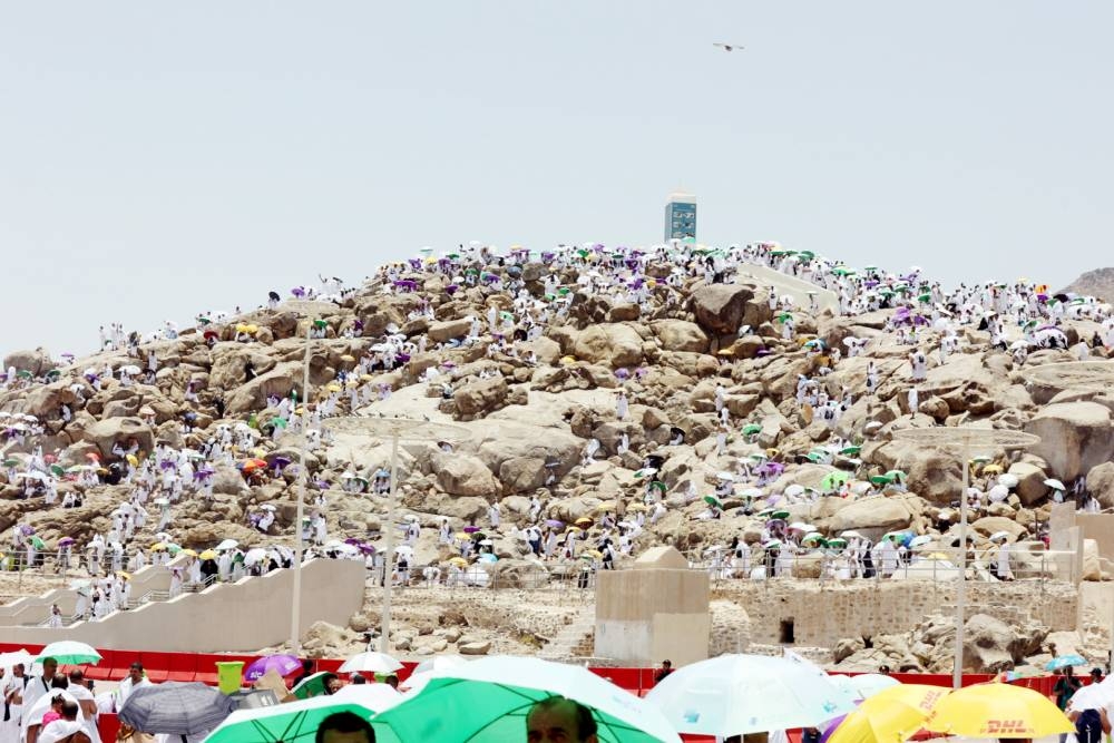 



 ضيوف الرحمن في صعيد عرفات يؤدون الركن الأعظم وسط أجواء روحانية. (تصوير: مديني عسيري)