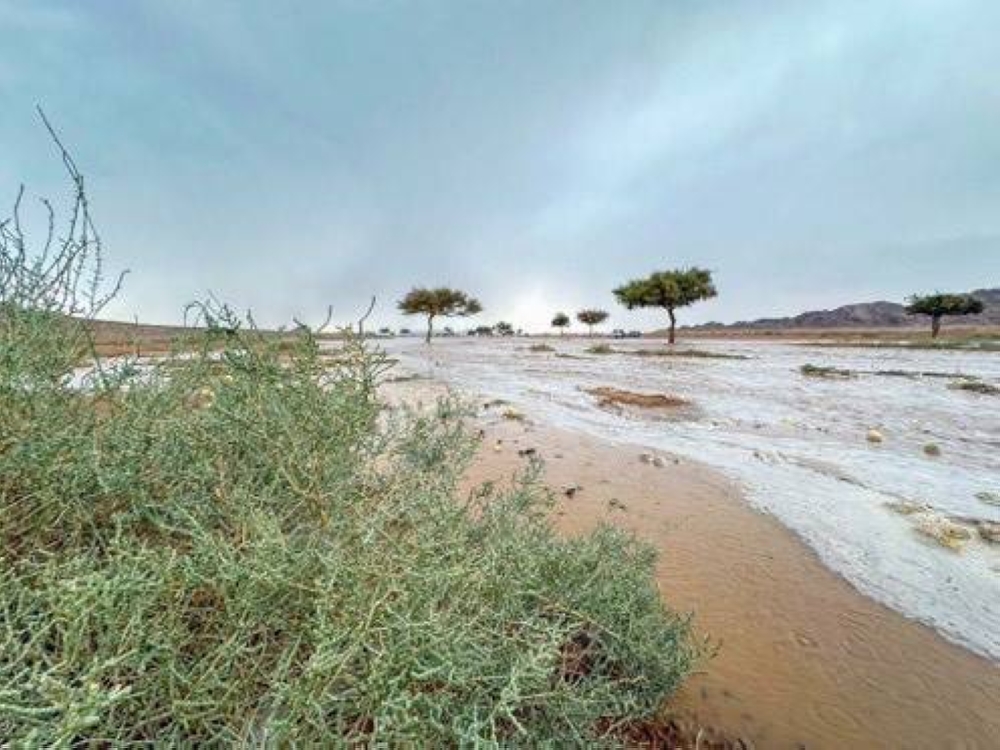 



 جريان السيول بأحد أودية حائل. (تصوير: راشد الثويني)