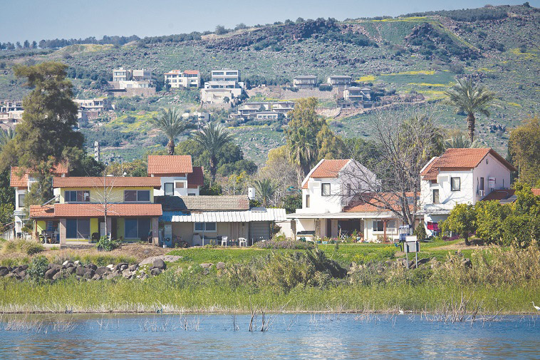 קיבוץ כנרת. צילום: משה שי, פלאש 90